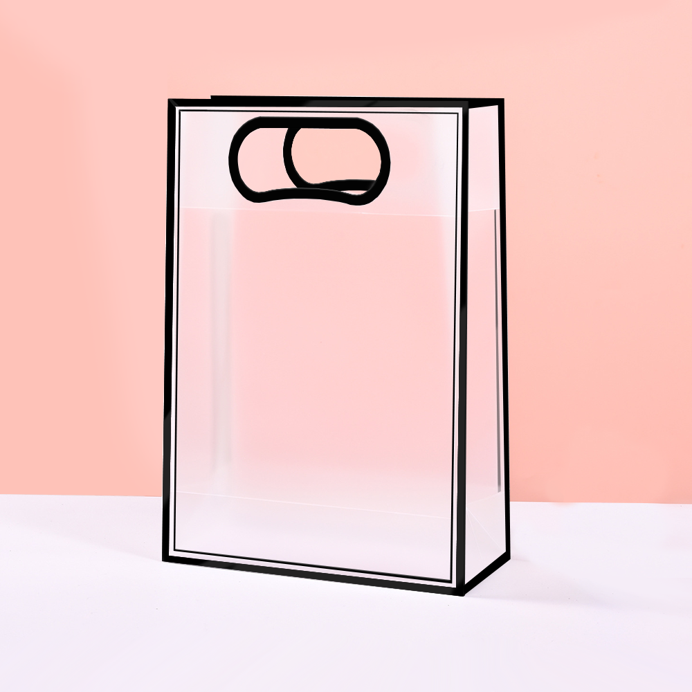 EVEEPACK Подарочный пакет PP, прозрачный матовый, черный кант 21x27x11см, 1 шт