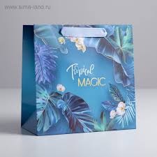 Пакет ламинированный квадратный - Magic, 22*22*11см